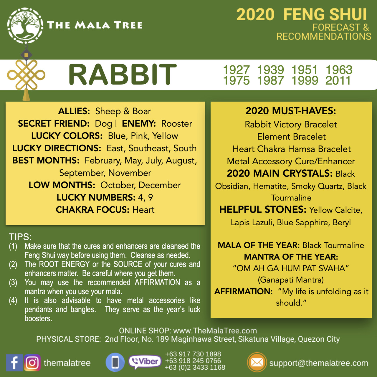 RABBIT in 2020 RABBIT in 2020